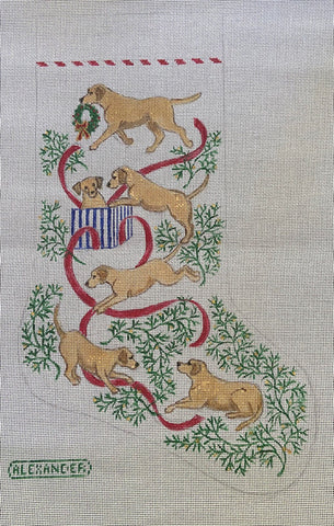 Playing Yellow Labs Stocking