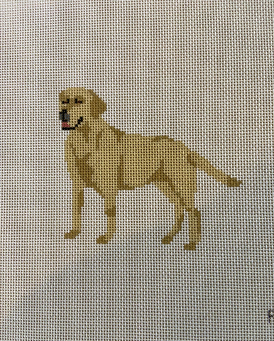 Yellow Lab