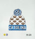 Beanie, Carolina Panthers Football