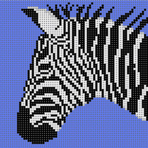 Zebra on Blue