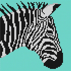 Zebra on Teal