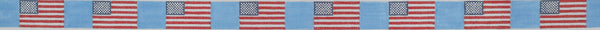 American Flag belt Pale Blue