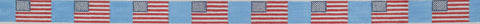 American Flag belt Pale Blue