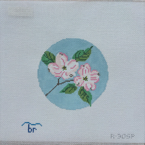 Dogwood Blossoms Spring