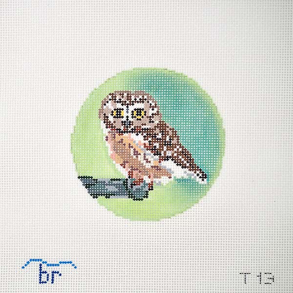 Saw Whet Owl needlepoint canvas