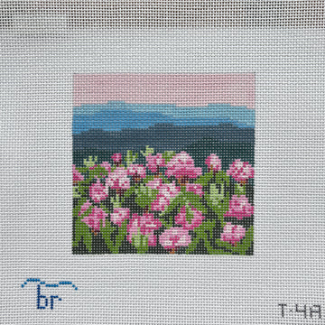 Rhodendrum Mtns.
