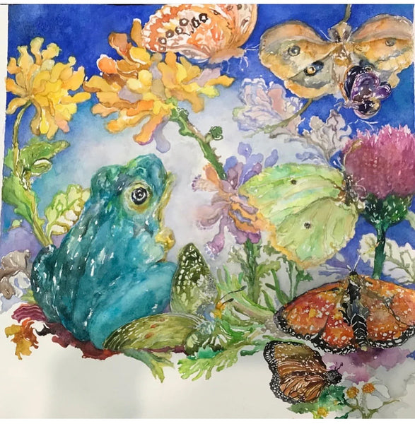 Frogs & Butterflies