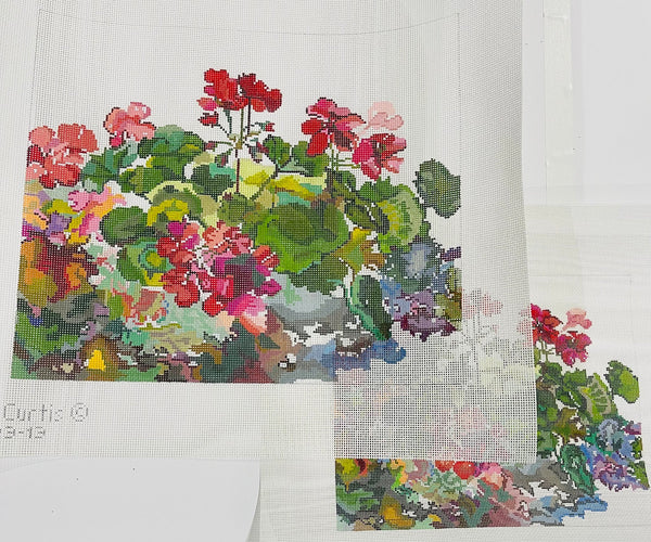 Geraniums