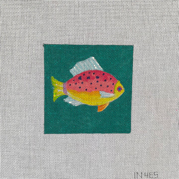 Fish Coaster 2
