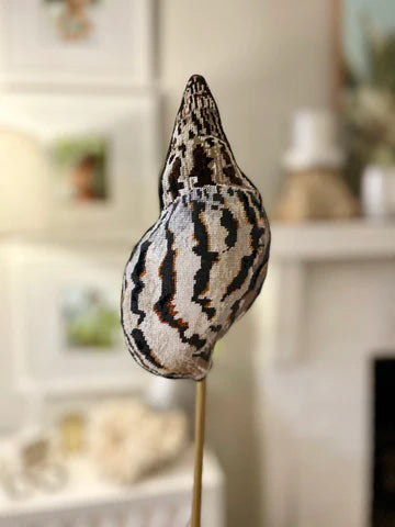 Seashell