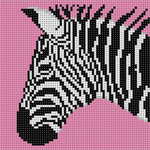 Zebra on Pink