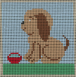 Dog 7 Mesh Starter Kit