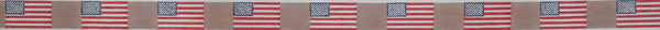 American Flag Belt Khaki