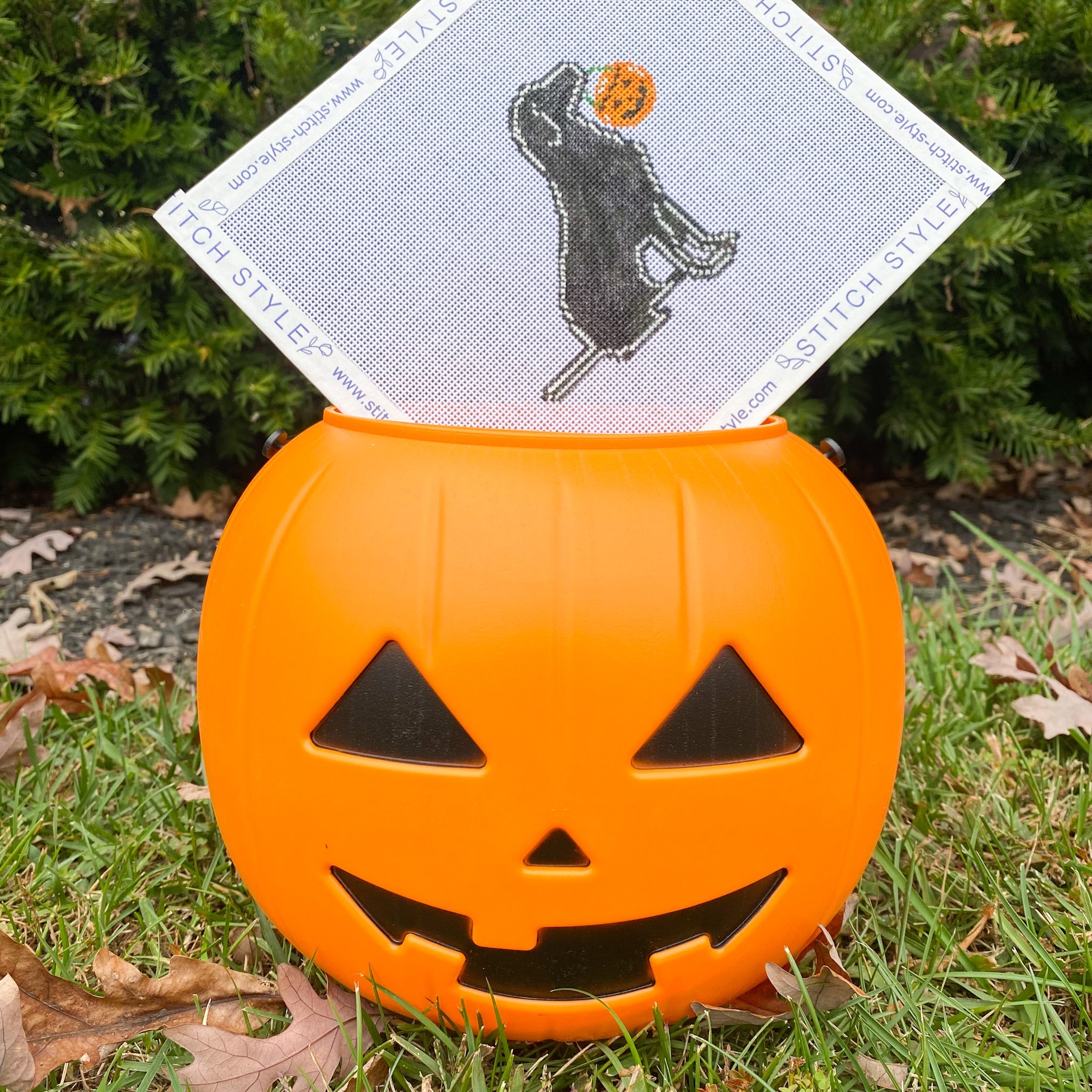 Halloween Dog