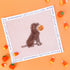 Halloween Dog