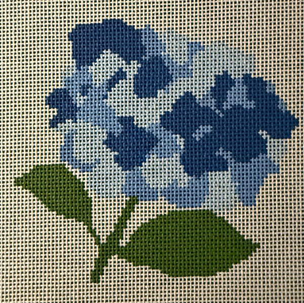 Hydrangea