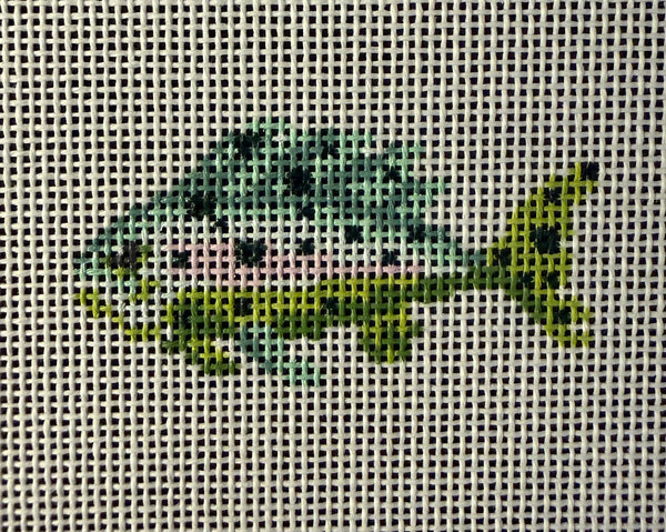 Mini Fish