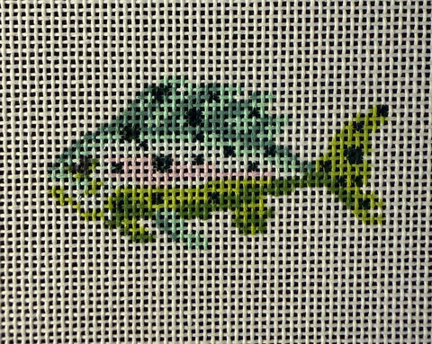Mini Fish