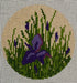 Iris Round