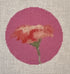 Rose Pink Background