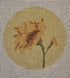 Sunflower Yellow Background