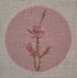 Pink Orchid Pink Background