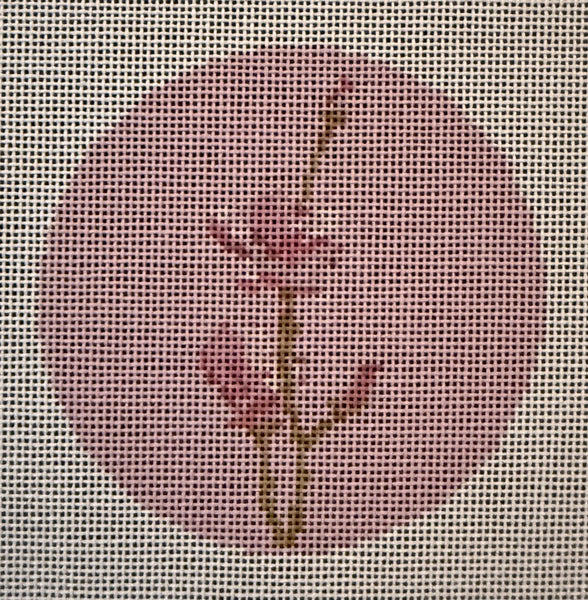 Pink Orchid Pink Background