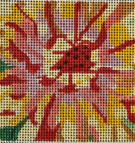 Bold Zinnia Coaster