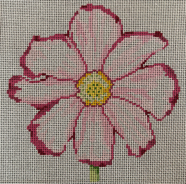 Cosmos