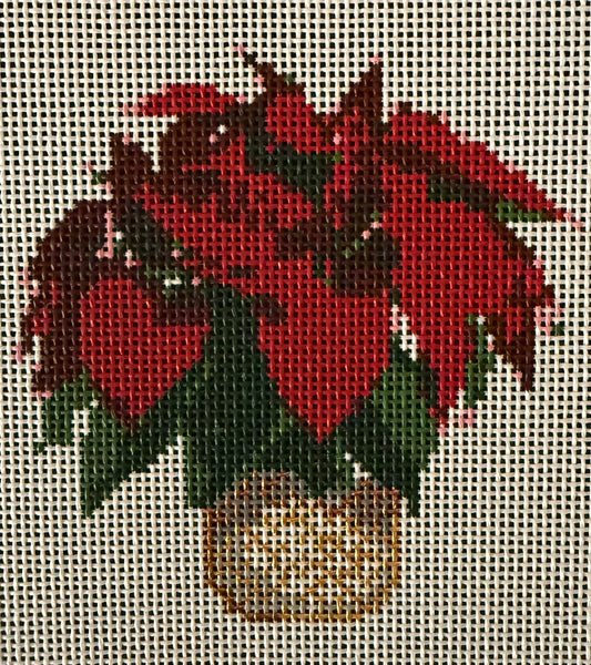 Red Poinsettia