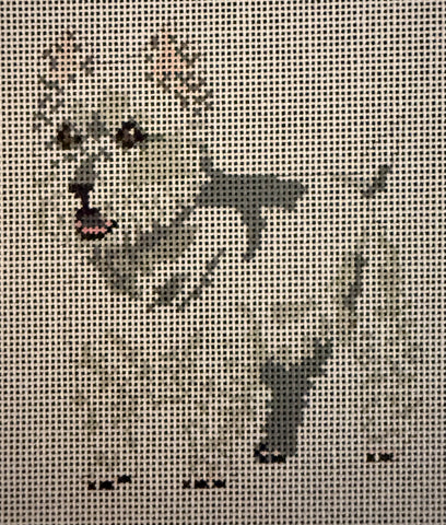 Westie