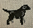 Black Lab