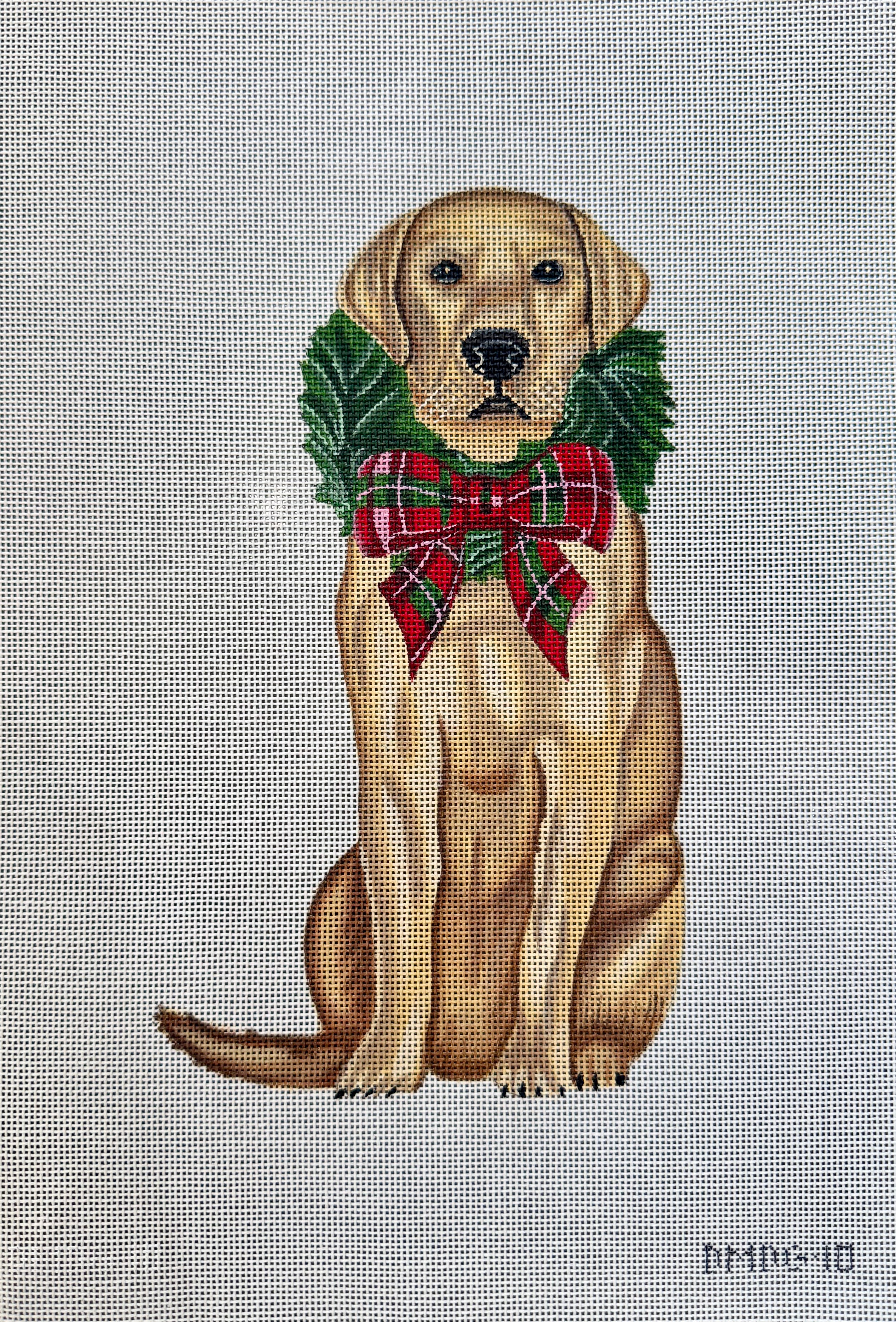 Golden Lab