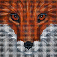 Fox Face 6x6