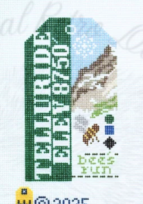 Telluride Ski Pass Retro Travel Tag