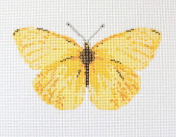 Cloudless Sulfur Butterfly