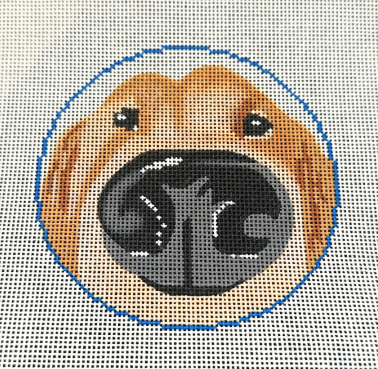 Nose Boop Yellow Lab