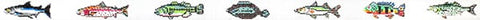 Fresh Water Fish belt