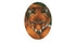 Red Fox Face