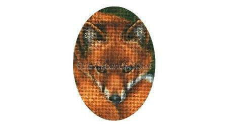 Red Fox Face