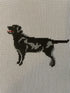 "Quincy" Black Lab