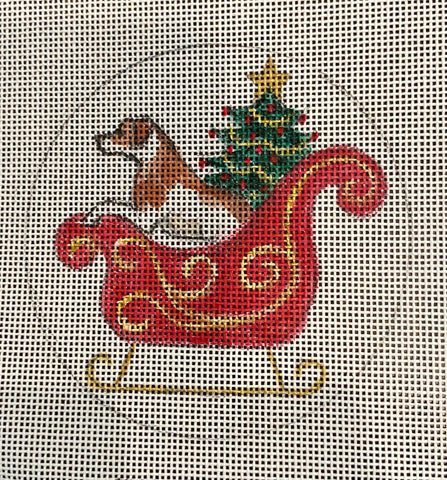 Jack Russell in Sled