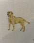 Yellow Lab