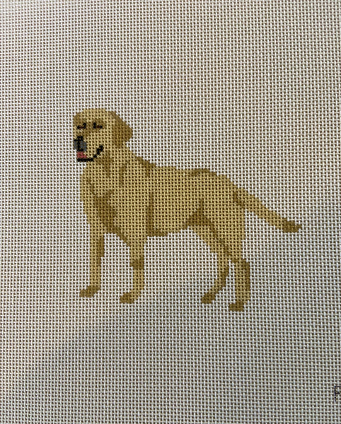 Yellow Lab