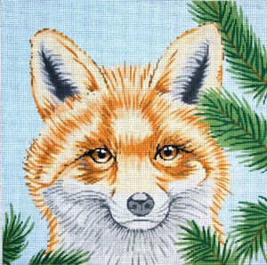 Fox on Blue w/Spruce Sprigs