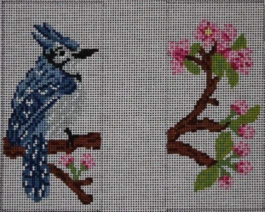 Blue Jay Eye Glass case