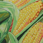 Farmer's Market Corn