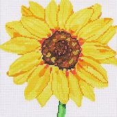 Medium Sunflower