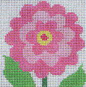 Zinnia Pink Coaster
