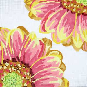 Sunset Daisy Yellow and Pink